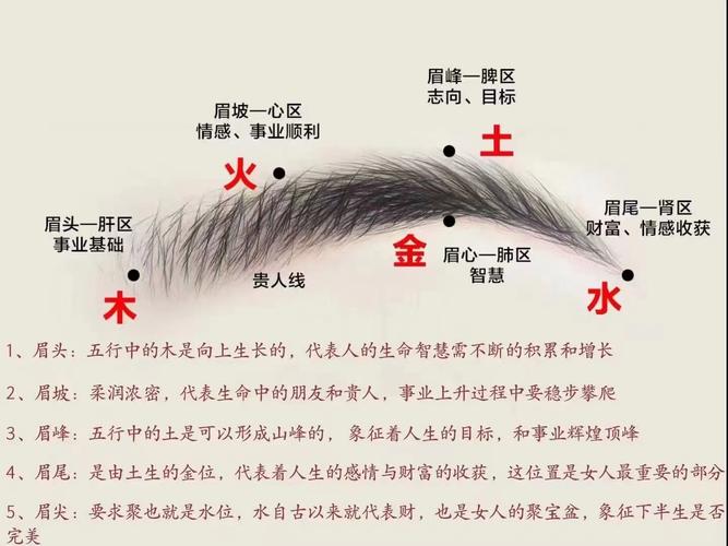 眉毛与风水之间究竟有何关联？这其中的奥秘又是怎样的呢？