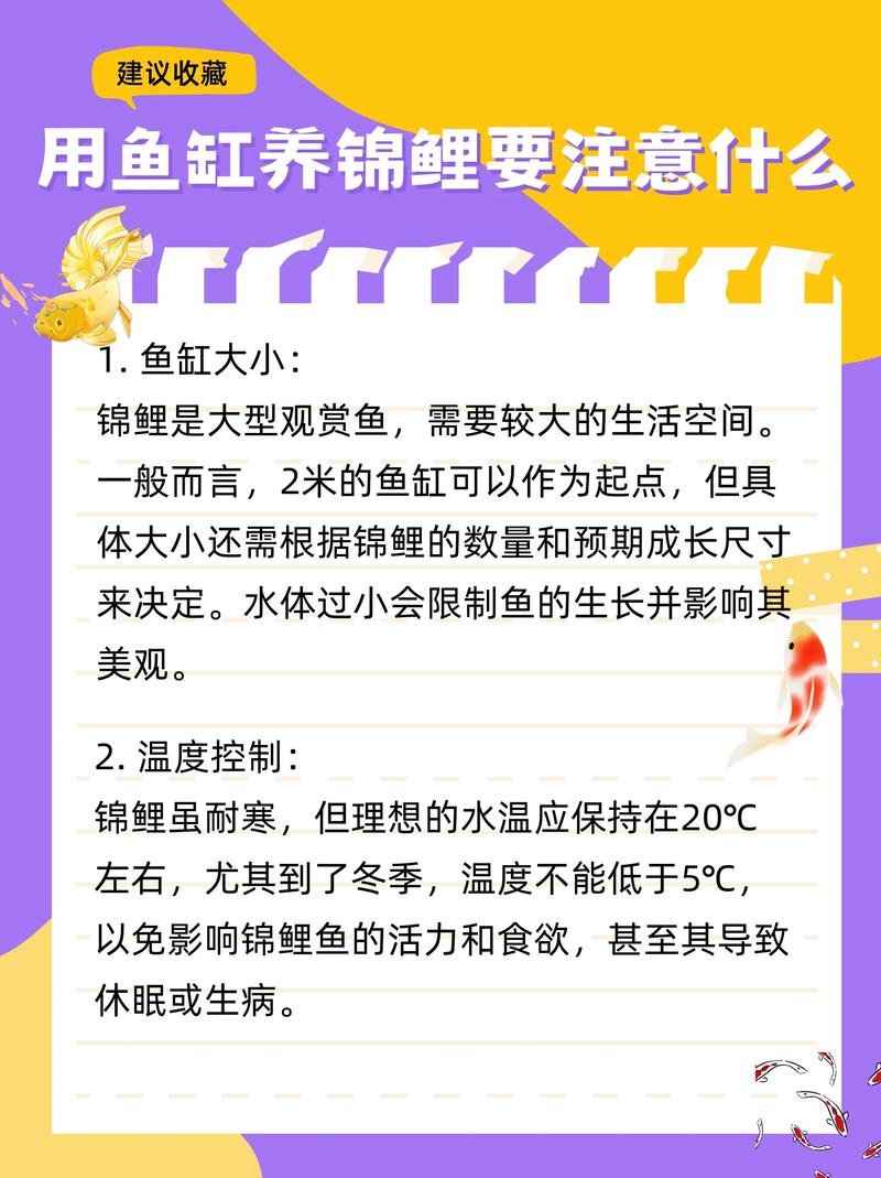 风水鱼缸里可以饲养以肉食为主的鱼类吗？