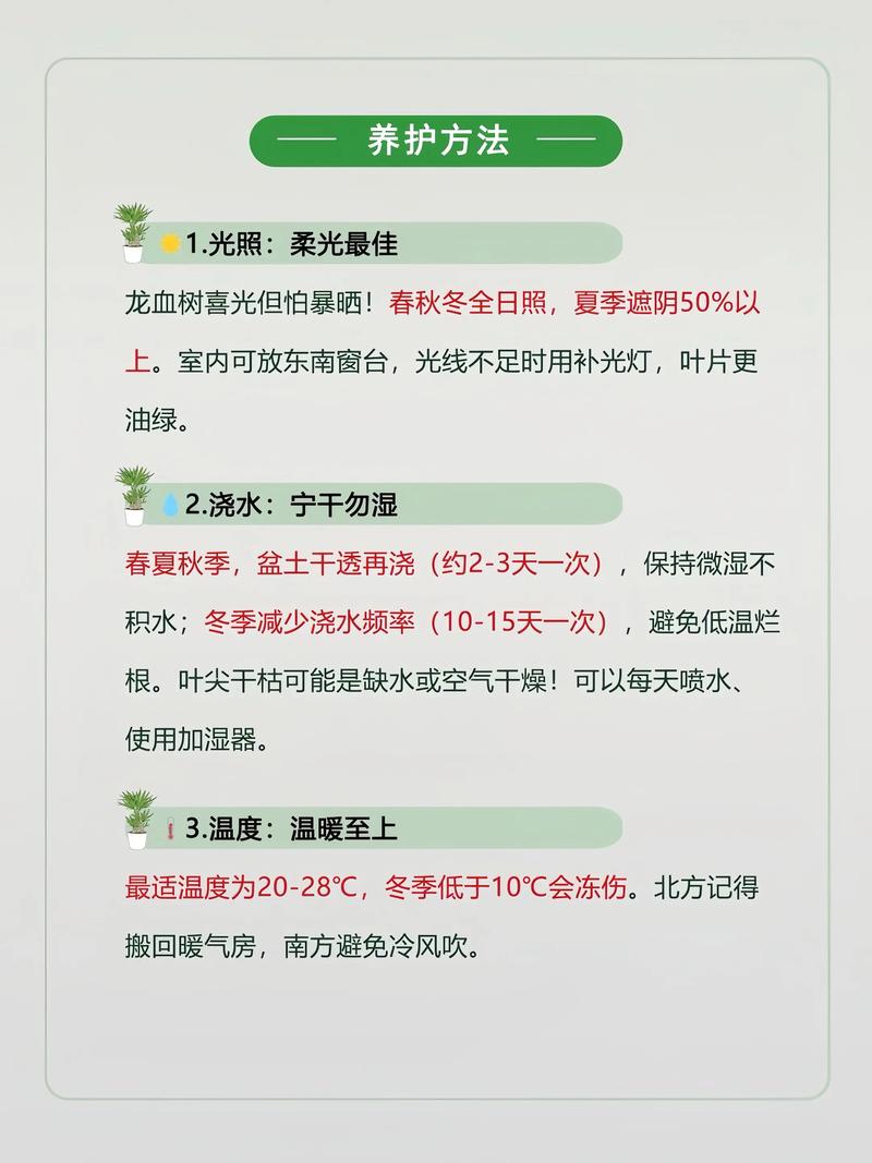 室外带刺植物对住宅风水有怎样的影响？