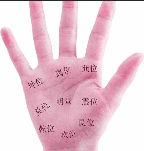 巽命震命延年指什么？巽卦代表人体哪些部位？