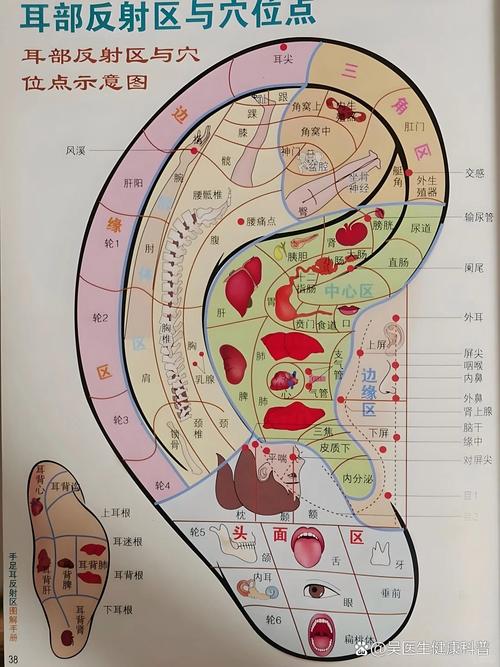 长子耳朵与风水之间是否存在某种联系？