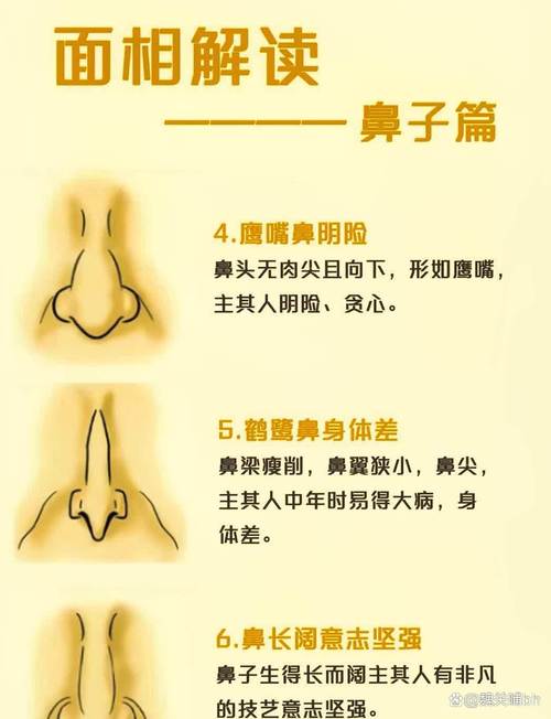鼻子形状影响家居风水布局会有什么后果？