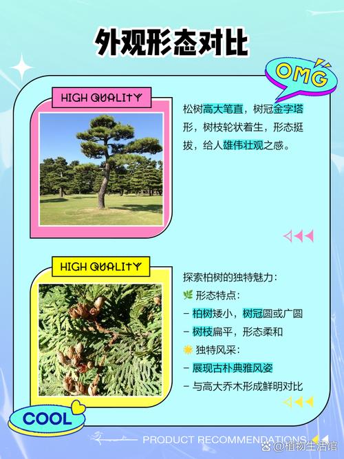 松柏木命与何种金命相配？松柏木是强木还是弱木？