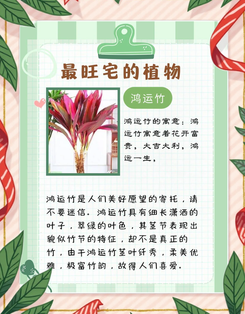 屋后种竹子会对风水产生怎样的影响呢？