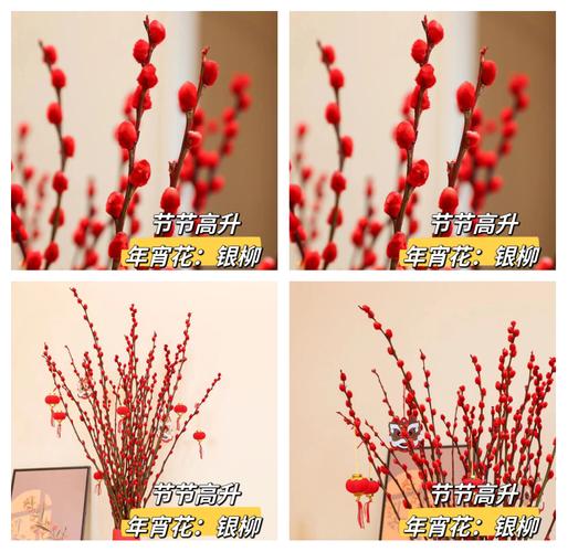 公司摆放干花对风水有影响吗？