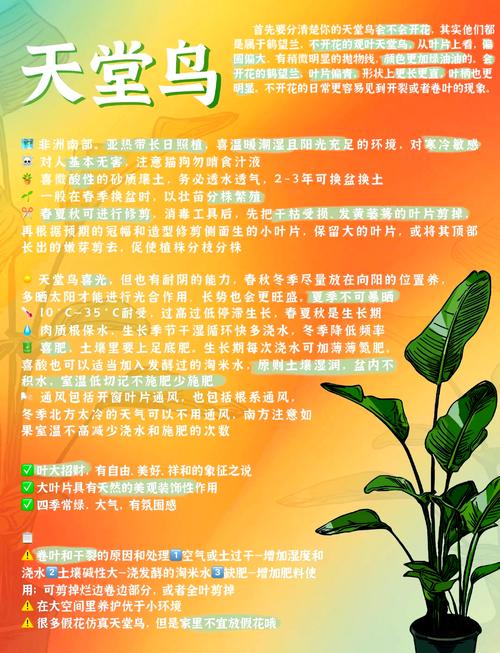 在楼房里养鸟风水怎么样？是否适宜养鸟？