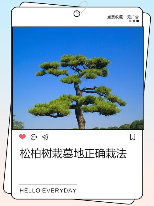 在风水学中，这个场地适合栽树吗？它的风水条件如何？