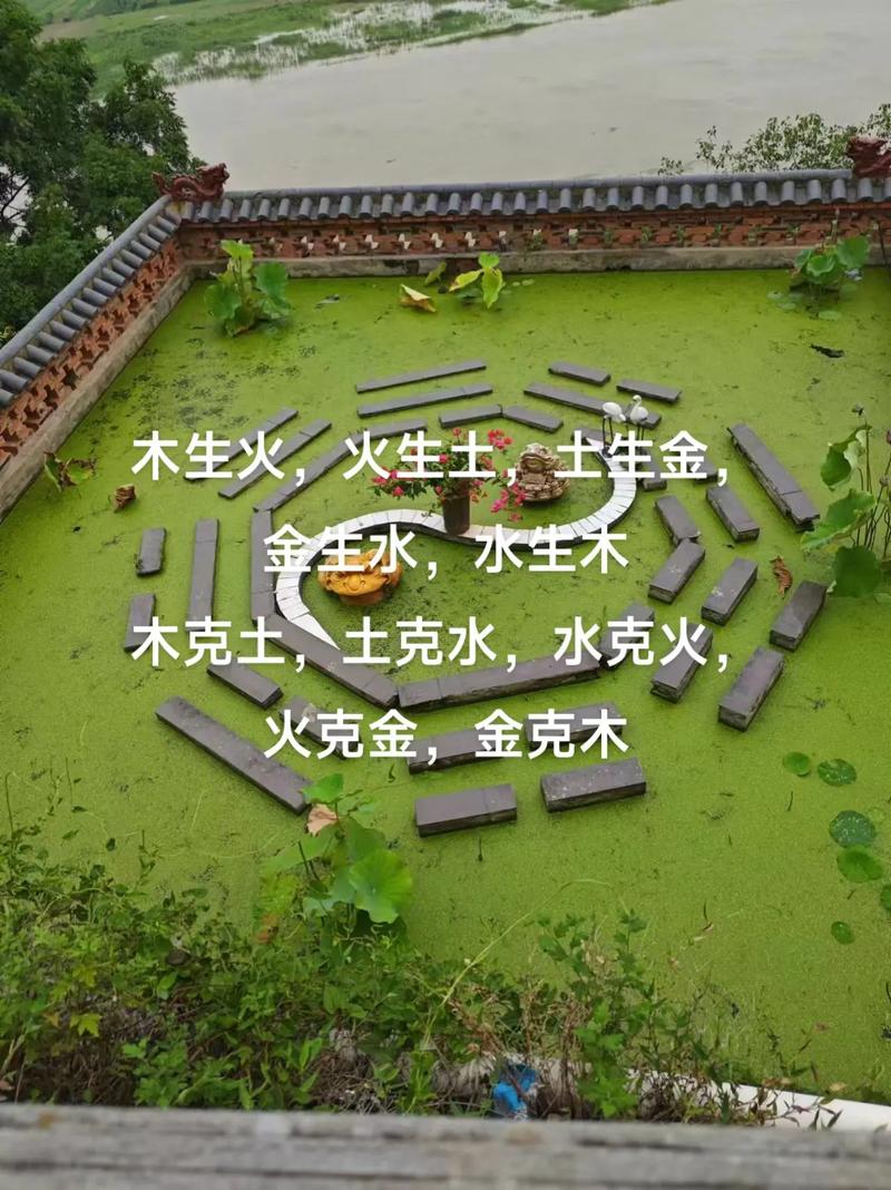 平地木命适合用什么水命养护，哪种命格蕞嫩旺平地木？