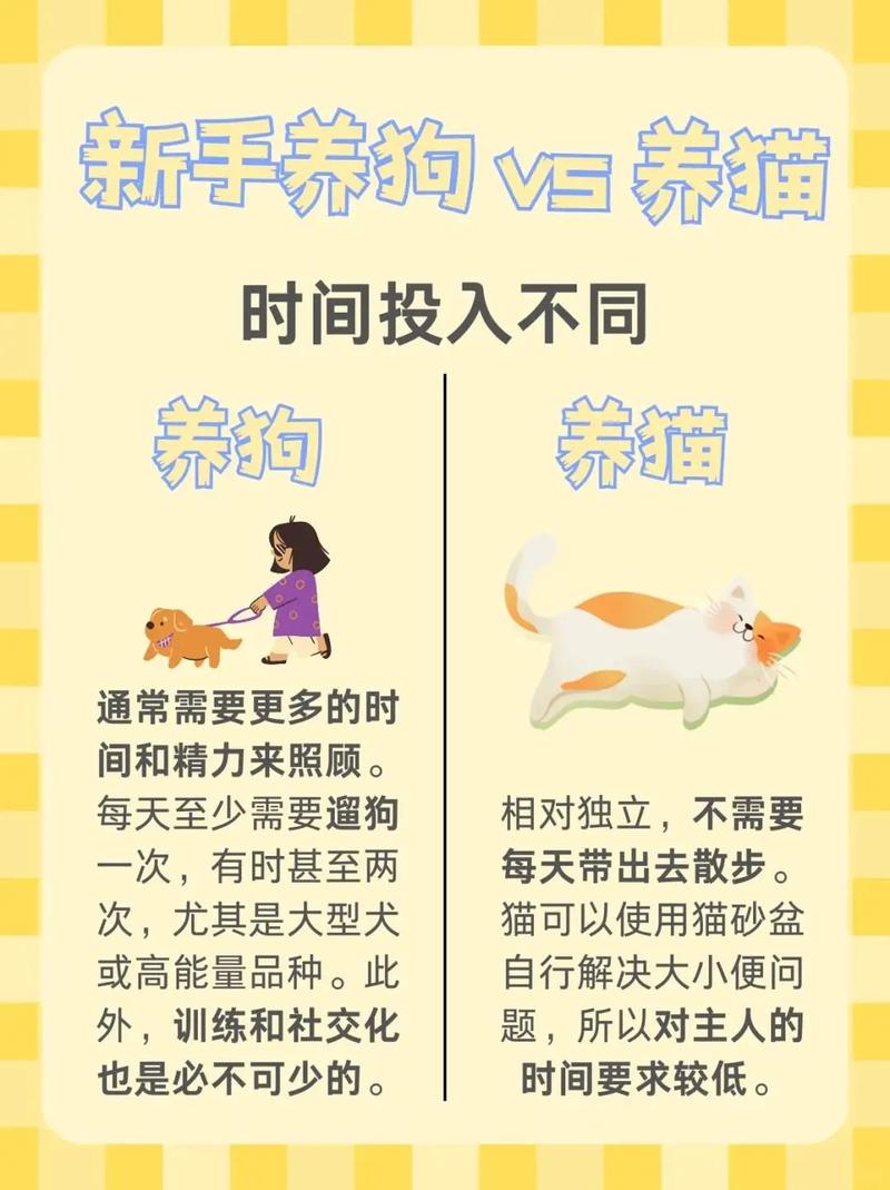 家里同时养猫和狗，这样的风水布局合适吗？