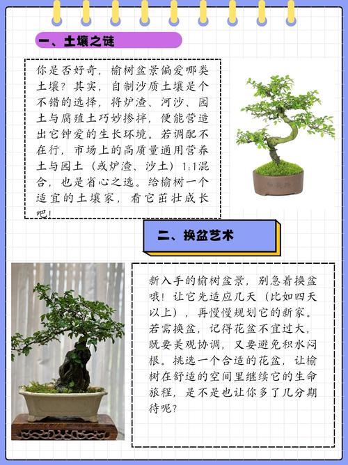庭院种植榆树风水如何？适合吗？