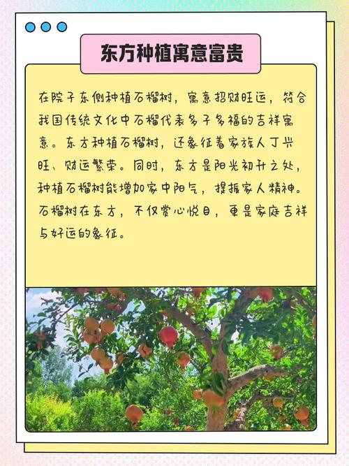 这个位置可以种植大树吗？这样的风水环境好吗？