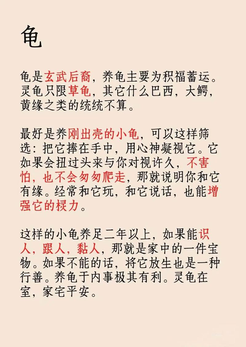 土命和火命适合养什么宠物？父母火命孩子土命是否合适？