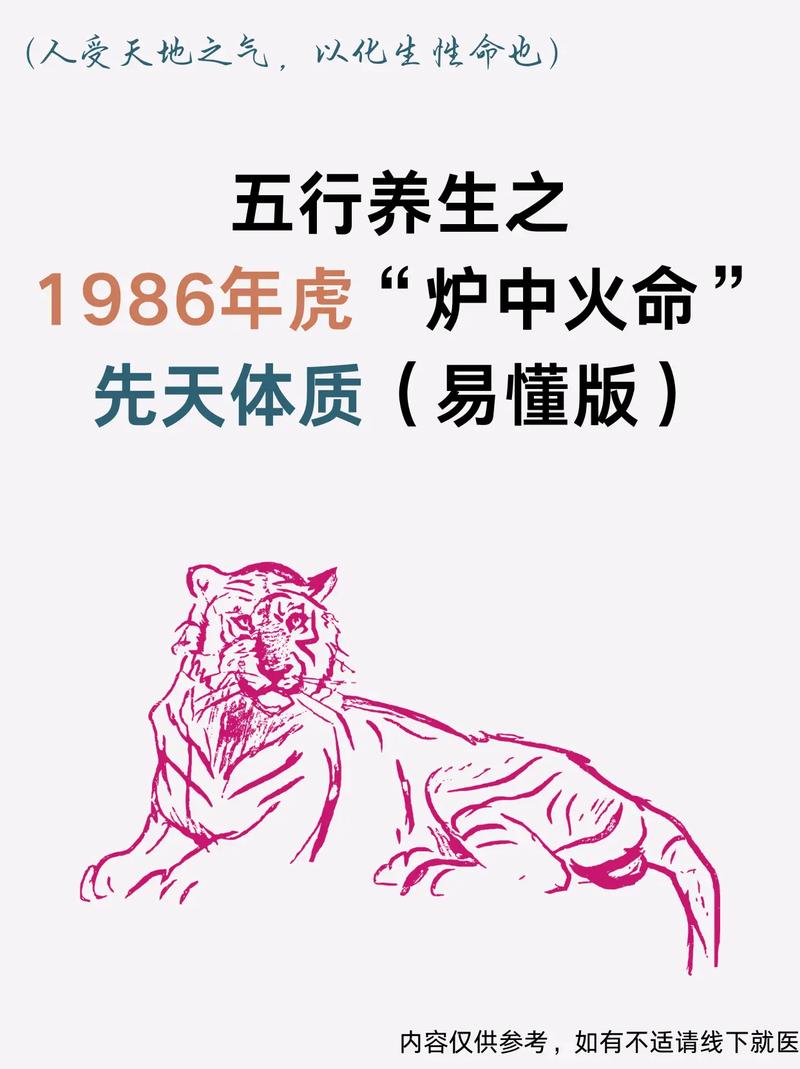丙寅虎1987年炉中火命是什么意思？