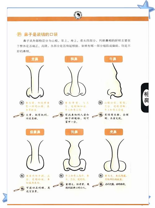 风水上鼻子部位可以随意移动或变动吗？