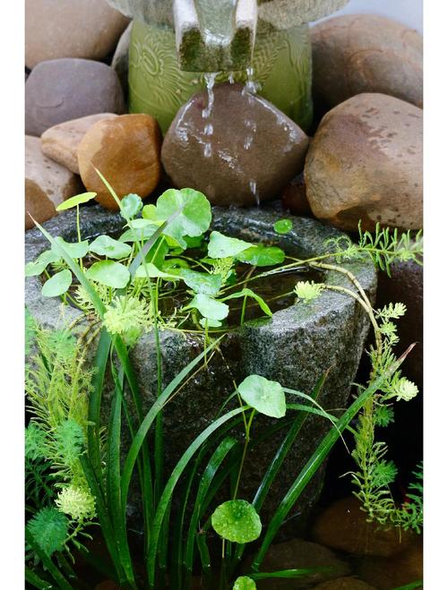 楼前建鱼池风水合适吗？有什么讲究需要注意？