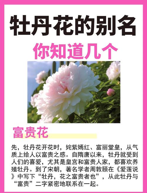 牡丹花命代表什么五行属什么？