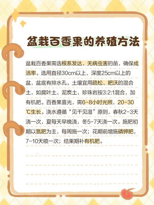 室内种植果树风水如何，适宜吗？