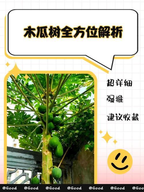 风水学中，木瓜树被归类为凶木吗？有什么依据和解释？