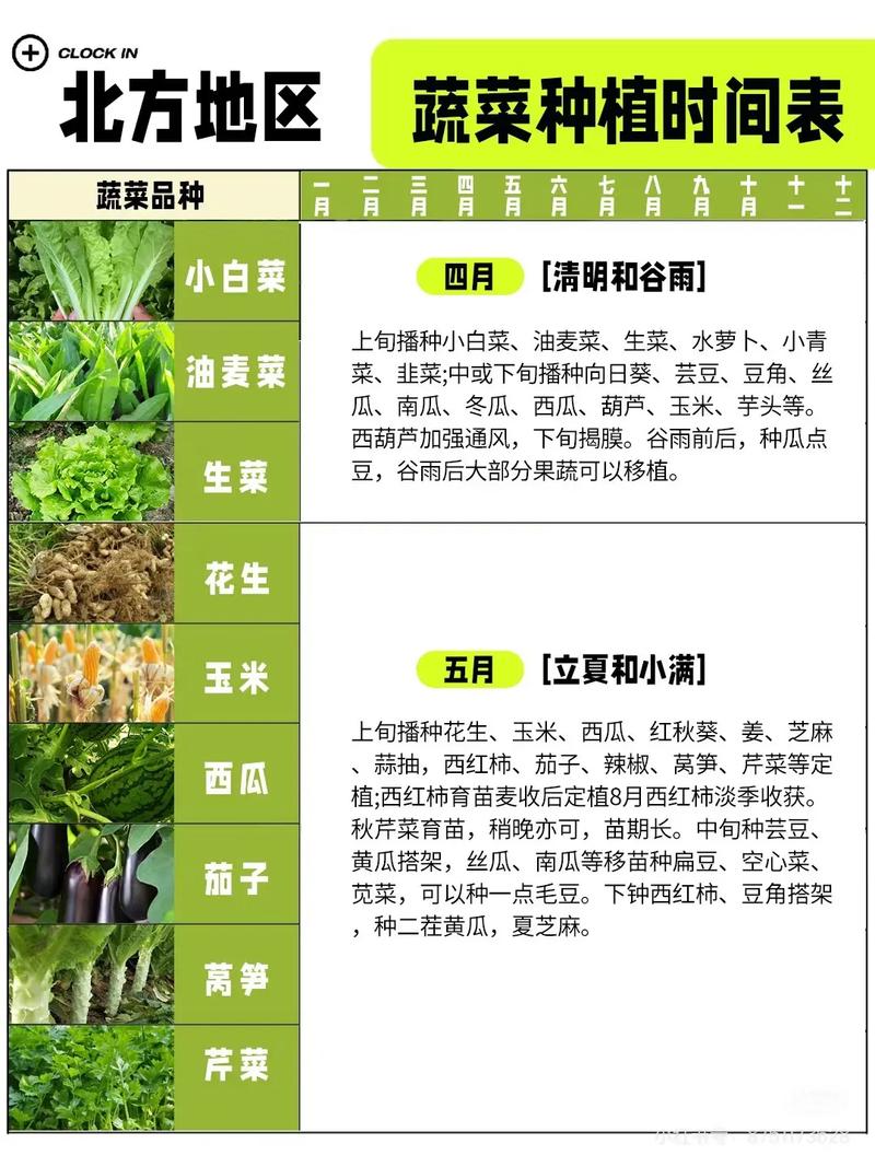 北门这块地适合种植蔬菜，风水条件怎么样呢？