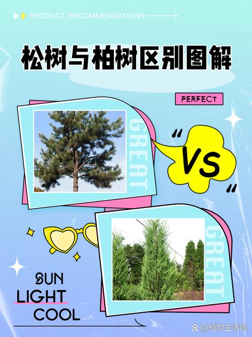 松柏木命与何种金命相配？松柏木是强木还是弱木？