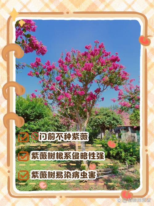 为什么风水门前不宜种植花卉？