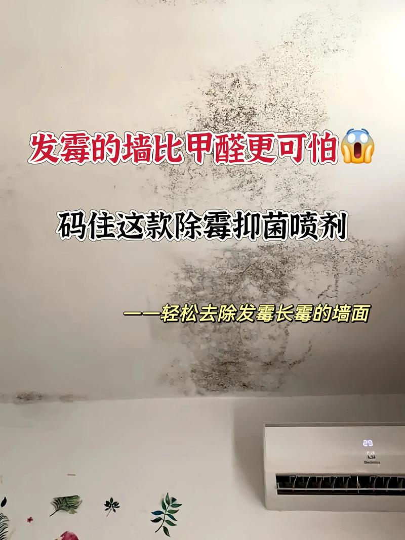 家里墙壁发霉会对风水产生怎样的影响呢？