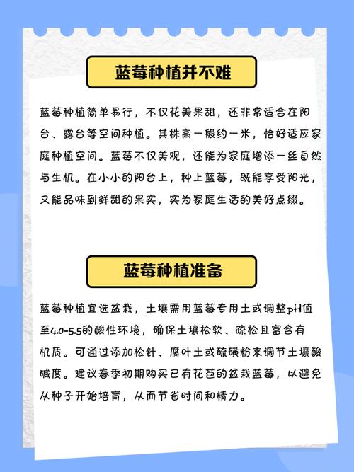 家里种植兰莓树风水如何，适合吗？