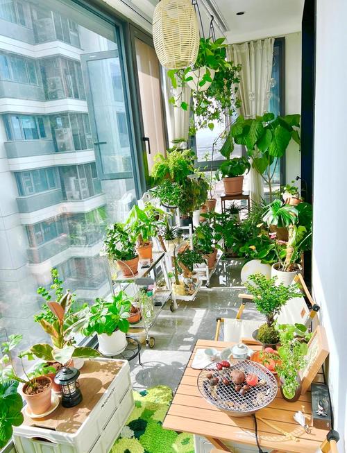 家庭楼顶可依种植哪些植物来改善风水？