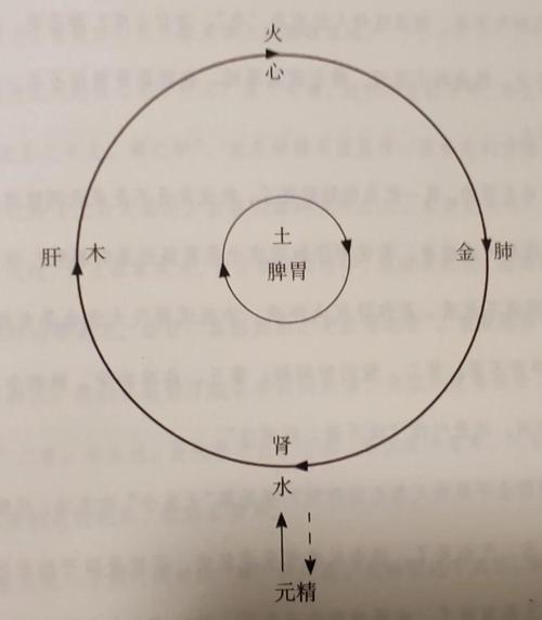 土命人易患何种疾病？木克土是否预示着特定病症？
