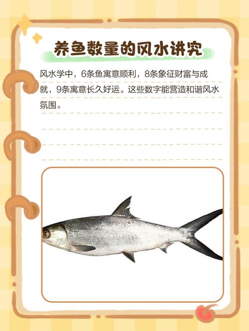 鱼缸里养锦鲤风水如何，是否适宜？