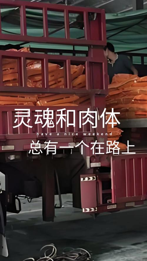 码奴的命也是命，难道就不是宝贵的生命吗？