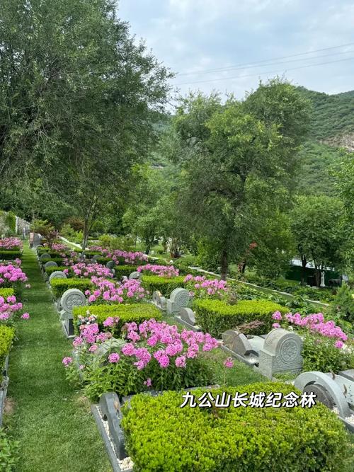 荒坟附近种植花卉，这样的风水布局是否适宜？