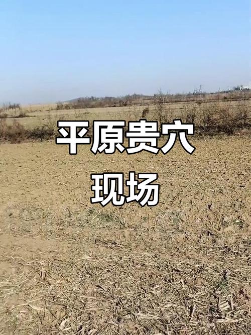 平原风水真的能孕育出巨富之地吗？