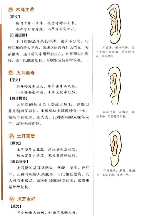 耳朵圆润的女人命运究竟如何？？