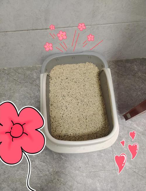 将猫砂盆放置在床边是否会对家居风水产生不良影响？