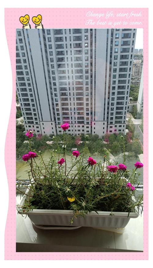 火命人热情如火，土命人稳重踏实土命人如何调整自身以发挥优势？