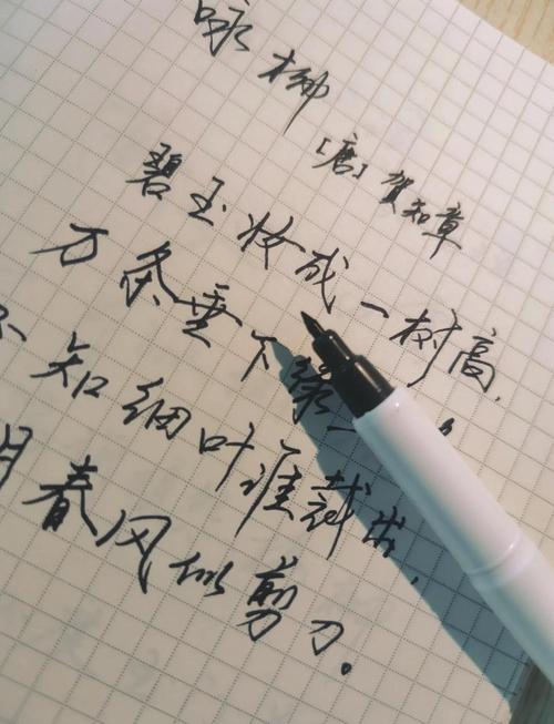 女人轻柳之命和自命清高是什么命格和意思？