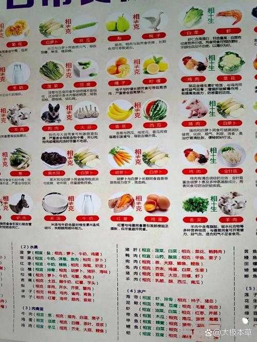 水命火命各偏好何菜，夫妻相克改如何调和？