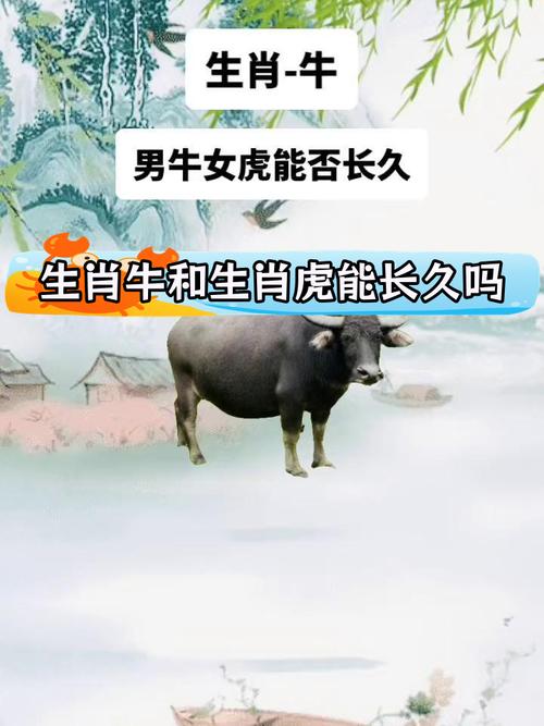 1962年属虎的人2021年属牛，他们的命运有何不同？