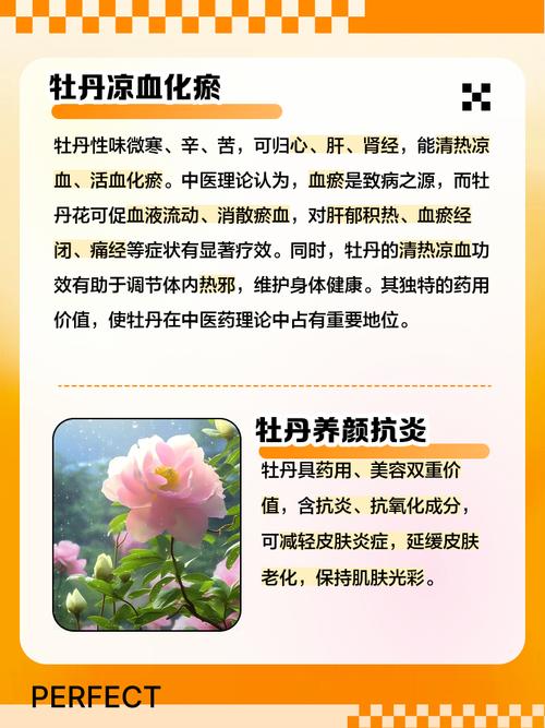 家里养牡丹花风水怎么样？对家居风水有好处吗？