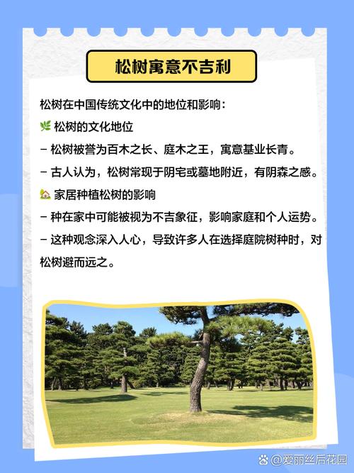 松树过高会对家庭风水产生哪些不利影响？