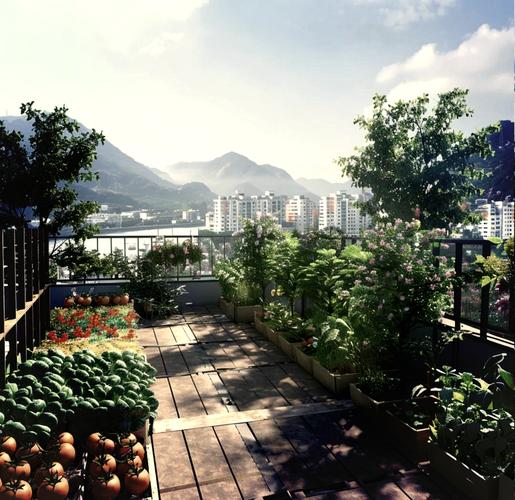 在平房顶上种菜是否符合风水讲究？