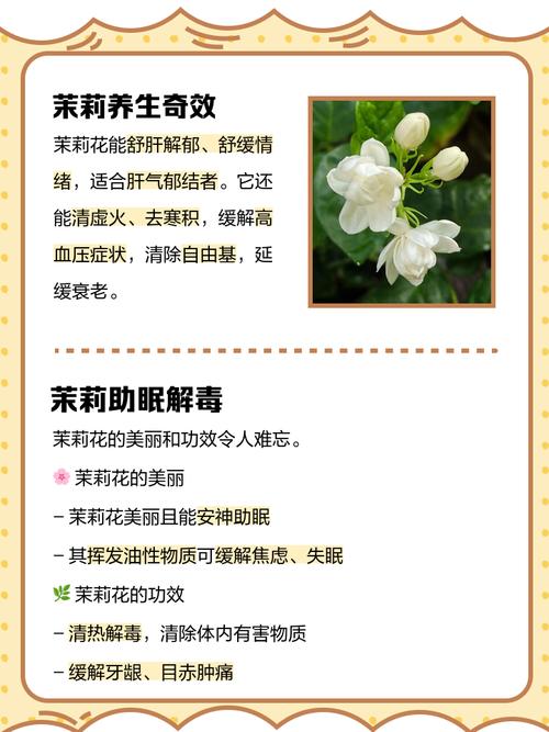 家里种茉莉花对风水有好处吗？