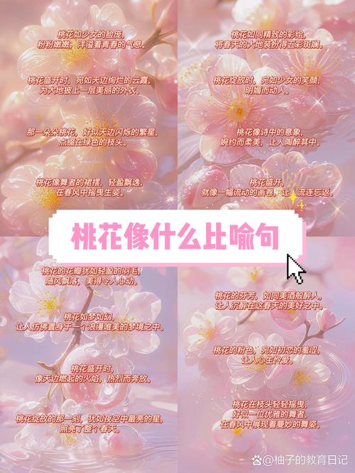 命带桃花星和命里桃花多分别代表什么如何为一个长尾关键词？