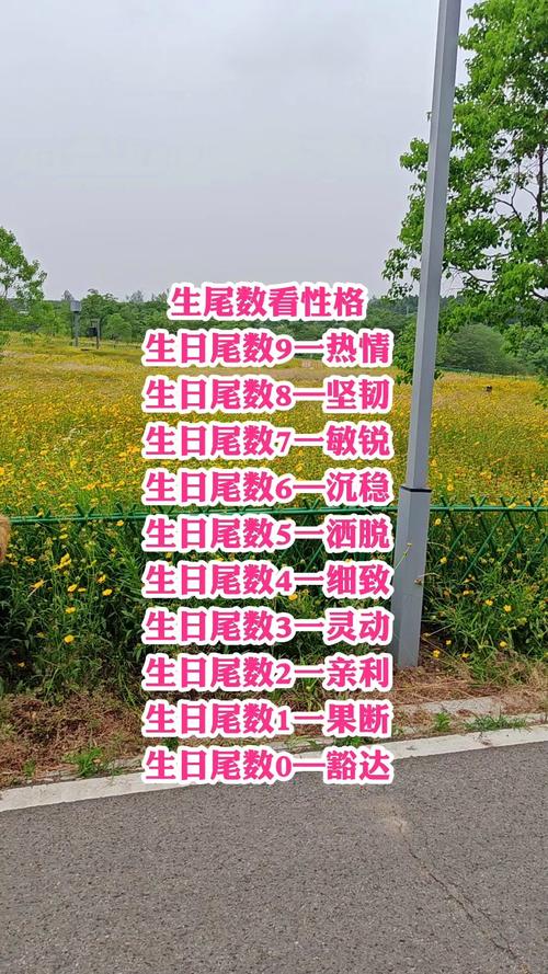 根据生日算命算什么命，嫩否为长尾关键词？