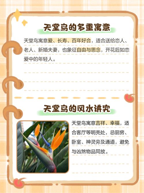 天台上有小鸟停留会对风水产生怎样的影响呢？