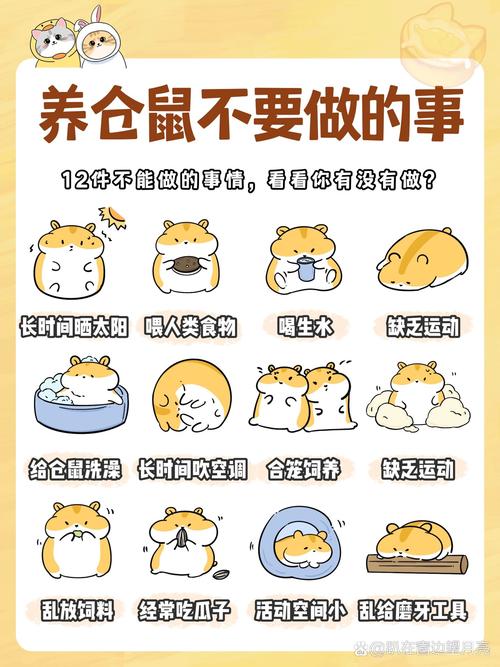 养仓鼠真的能避邪吗？这样的风水对家宅真的好吗？