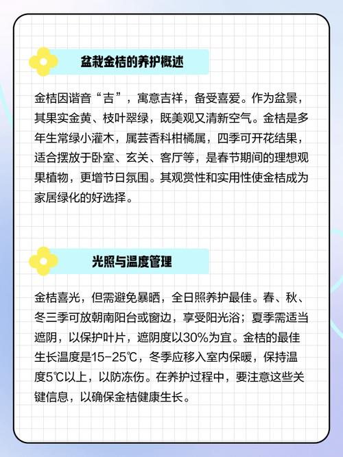 阳台风水适宜种植小桔子吗？