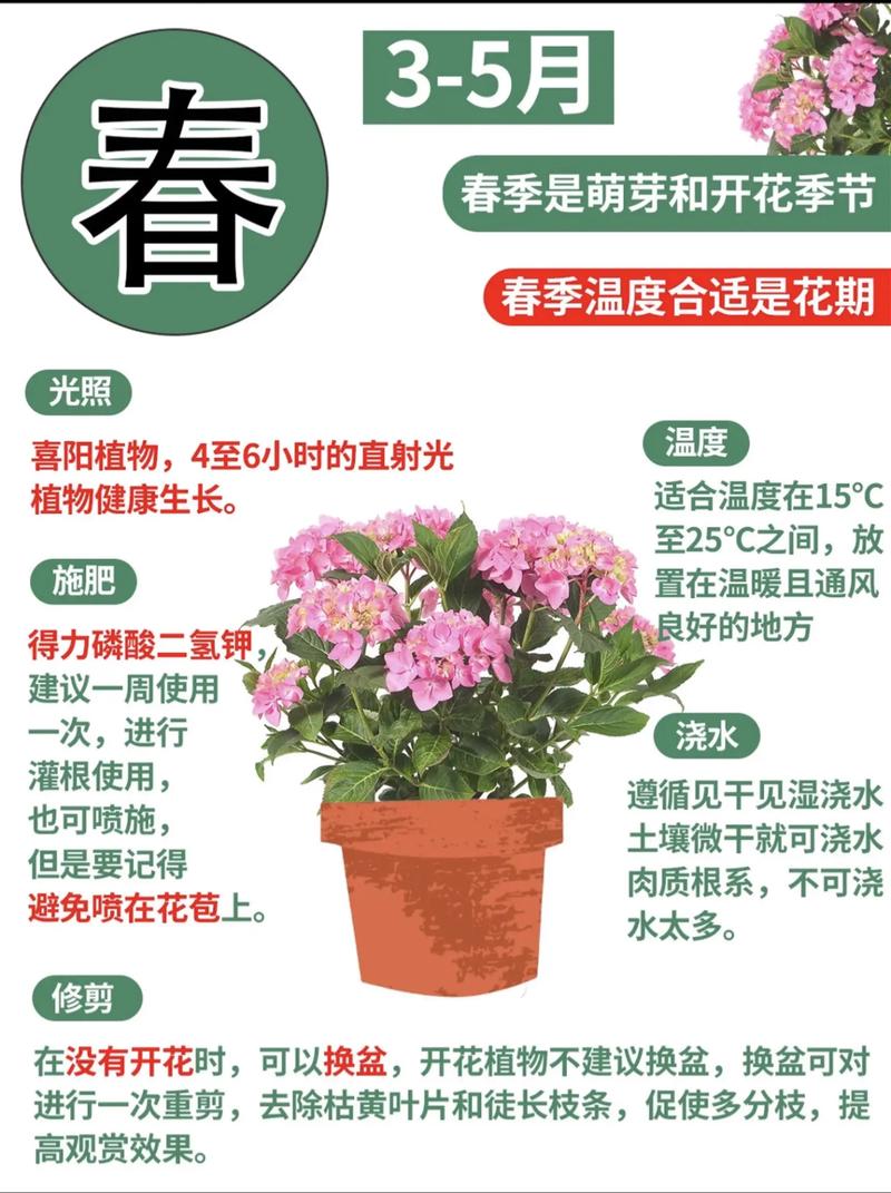 养什么植物者阝嫩成活的人命运如何？擅长养花的人又是什么命格？