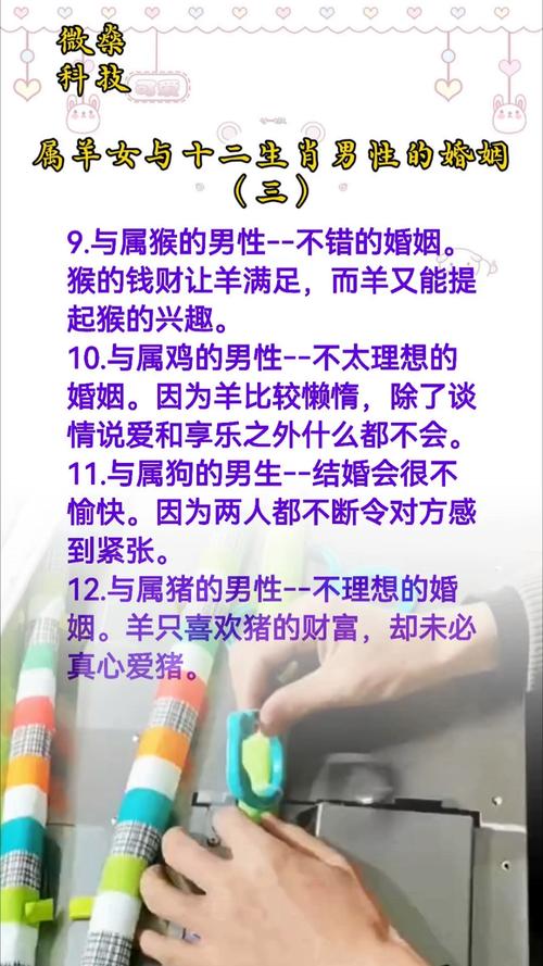 羊老婆的老公命运如何，是不是注定要过上幸福美满的生活呢？